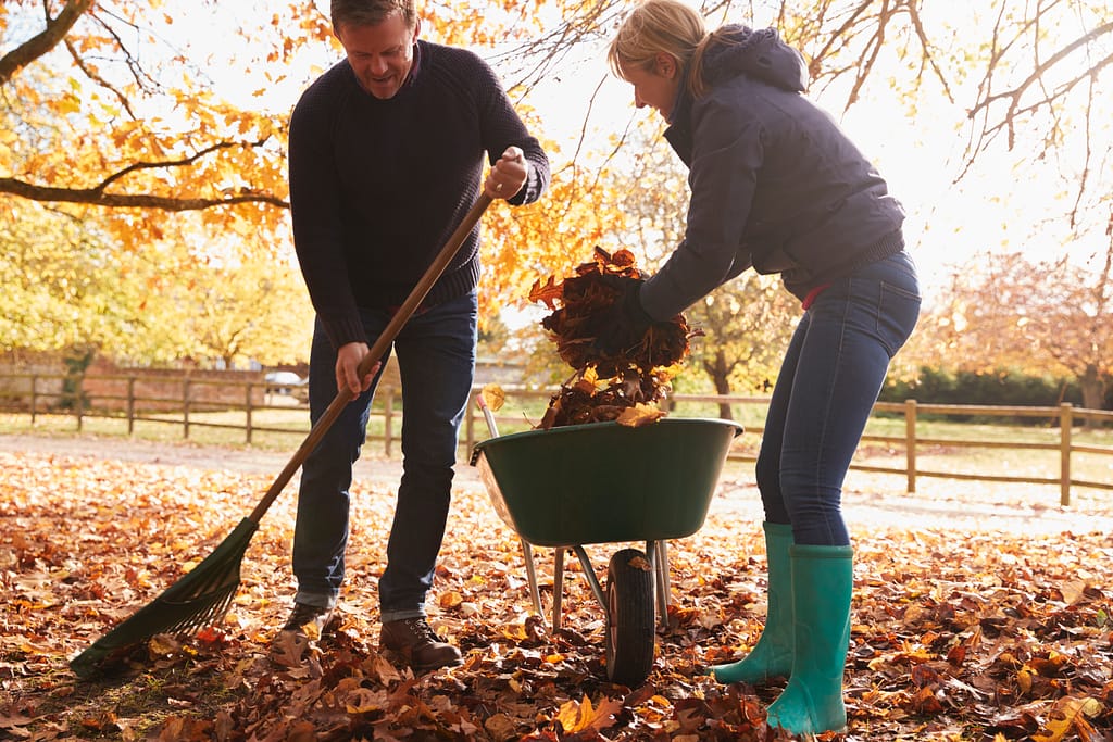 fall home maintenance older couple raking and preforming in the yard